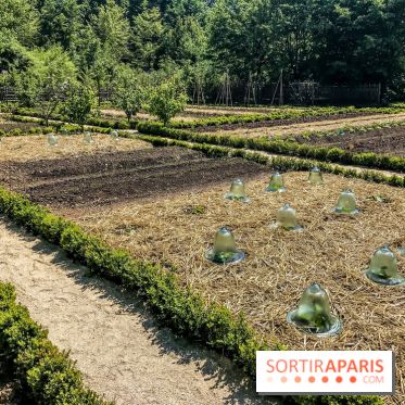 La Maison de la Reine rénovée au Château de Versailles