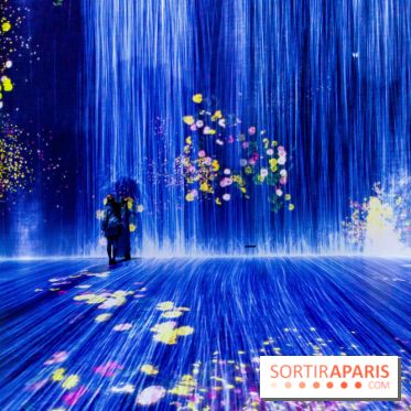Teamlab : au delà des limites à la Villette, les photos