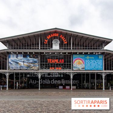 Teamlab : au delà des limites à la Villette, les photos