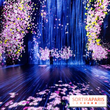 Teamlab : au delà des limites à la Villette, les photos