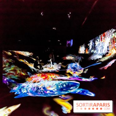 Teamlab : au delà des limites à la Villette, les photos