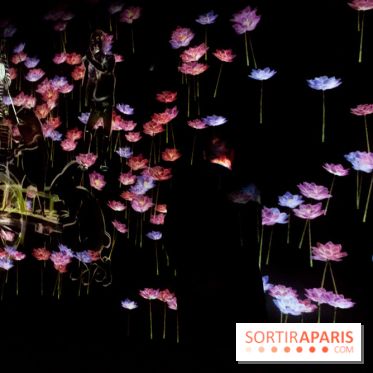 Teamlab : au delà des limites à la Villette, les photos