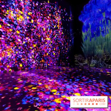 Teamlab : au delà des limites à la Villette, les photos