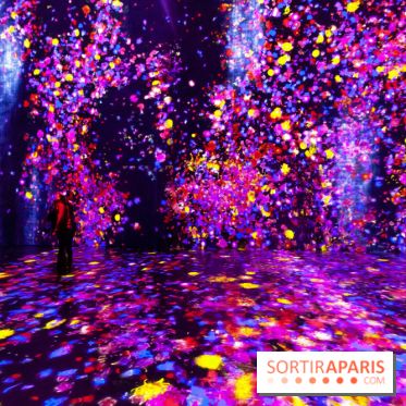 Teamlab : au delà des limites à la Villette, les photos