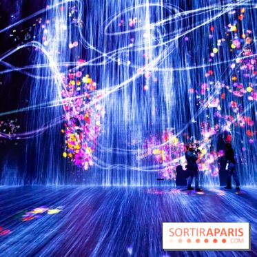 Teamlab : au delà des limites à la Villette, les photos