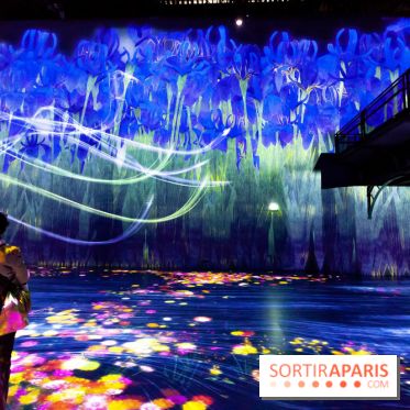 Teamlab : au delà des limites à la Villette, les photos