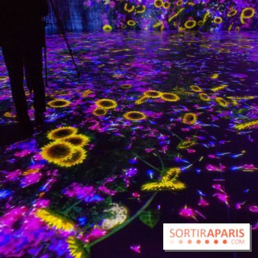 Teamlab : au delà des limites à la Villette, les photos