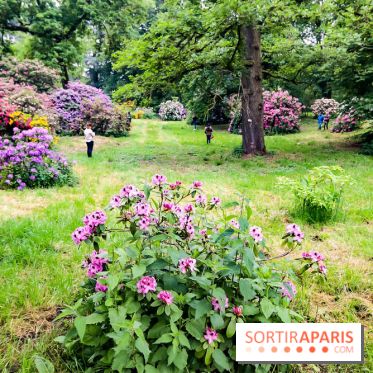 L'Arboretum de Versailles - Chevreloup