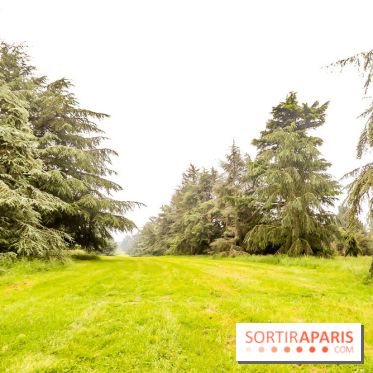 L'Arboretum de Versailles - Chevreloup