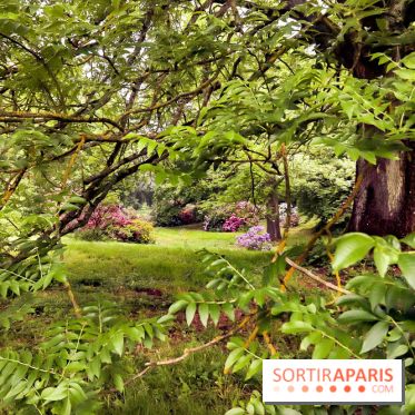 L'Arboretum de Versailles - Chevreloup