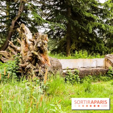 L'Arboretum de Versailles - Chevreloup