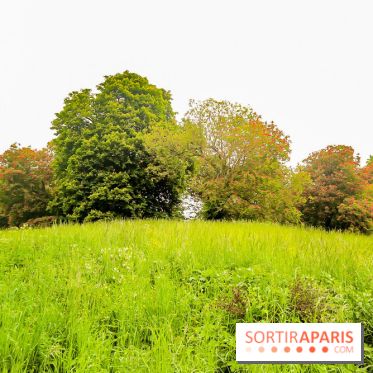 L'Arboretum de Versailles - Chevreloup