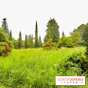 L'Arboretum de Versailles - Chevreloup
