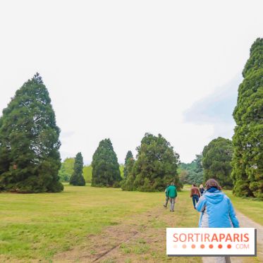L'Arboretum de Versailles - Chevreloup