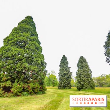 L'Arboretum de Versailles - Chevreloup