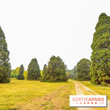 L'Arboretum de Versailles - Chevreloup