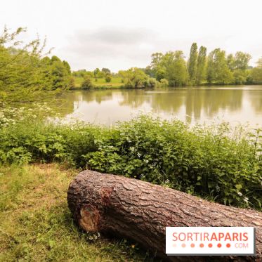 L'Arboretum de Versailles - Chevreloup