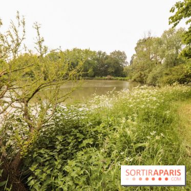 L'Arboretum de Versailles - Chevreloup