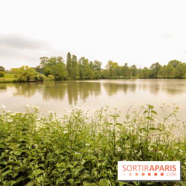 L'Arboretum de Versailles - Chevreloup