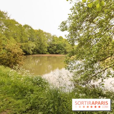 L'Arboretum de Versailles - Chevreloup
