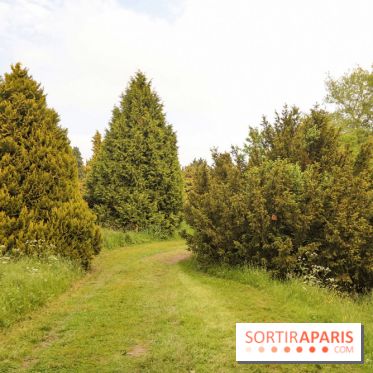 L'Arboretum de Versailles - Chevreloup