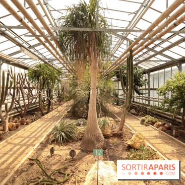 L'Arboretum de Versailles - Chevreloup