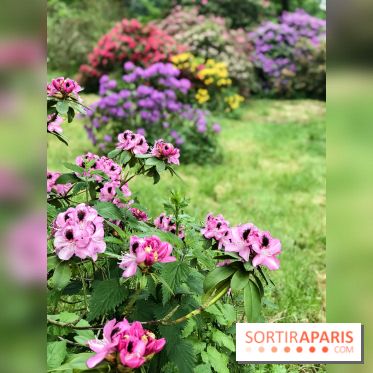 L'Arboretum de Versailles - Chevreloup