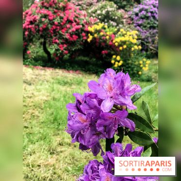 L'Arboretum de Versailles - Chevreloup