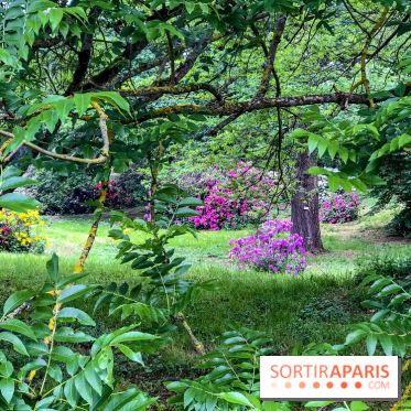 L'Arboretum de Versailles - Chevreloup
