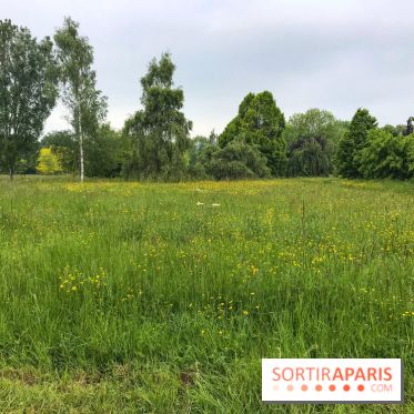 L'Arboretum de Versailles - Chevreloup