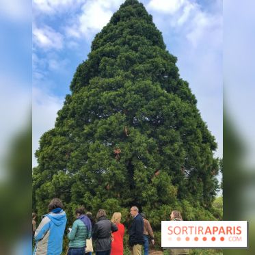 L'Arboretum de Versailles - Chevreloup