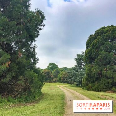 L'Arboretum de Versailles - Chevreloup