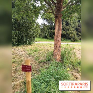 L'Arboretum de Versailles - Chevreloup