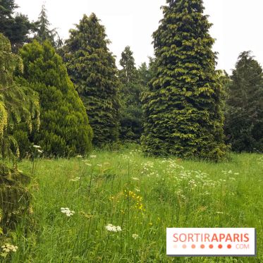 L'Arboretum de Versailles - Chevreloup