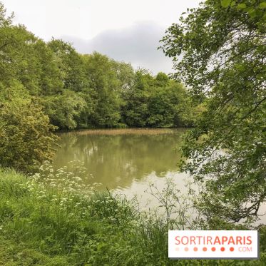 L'Arboretum de Versailles - Chevreloup