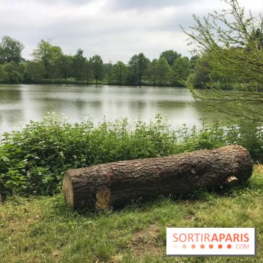 L'Arboretum de Versailles - Chevreloup