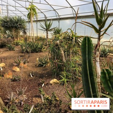 L'Arboretum de Versailles - Chevreloup