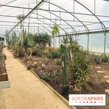 L'Arboretum de Versailles - Chevreloup