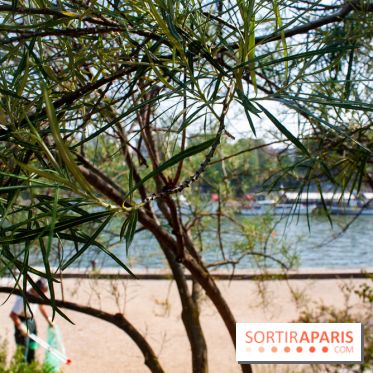 Fête de la Nature 2018 : les oiseaux de Paris