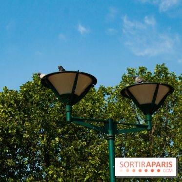 Fête de la Nature 2018 : les oiseaux de Paris