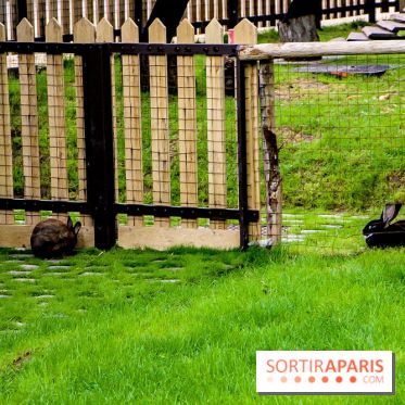 Le Jardin d'Acclimatation dévoile son nouveau visage et ses attractions, les photos