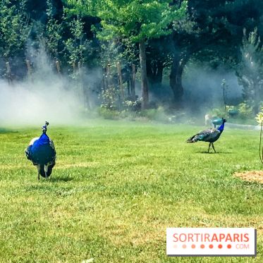 Le Jardin d'Acclimatation dévoile son nouveau visage et ses attractions, les photos