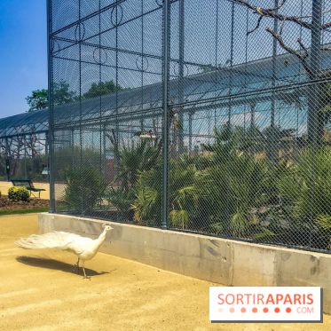 Le Jardin d'Acclimatation dévoile son nouveau visage et ses attractions, les photos