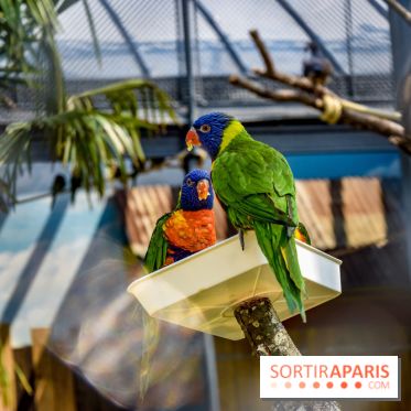 Le Jardin d'Acclimatation dévoile son nouveau visage et ses attractions, les photos