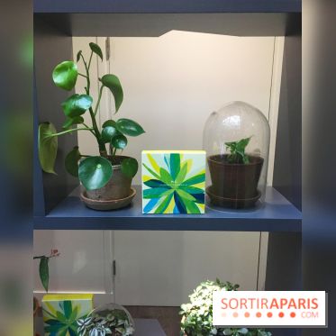 La Maison du Chocolat - Collection Bien-Être