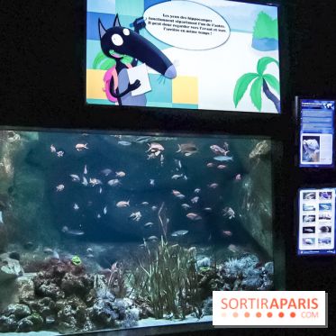 Loup préserve les océans à l'Aquarium de Paris, les photos