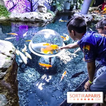 Loup préserve les océans à l'Aquarium de Paris, les photos