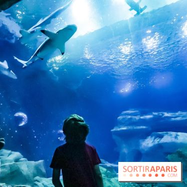 Loup préserve les océans à l'Aquarium de Paris, les photos