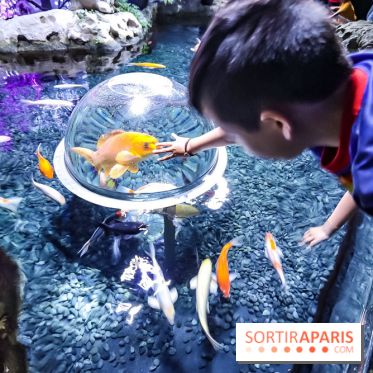 Loup préserve les océans à l'Aquarium de Paris, les photos