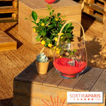 Ma Terrazza, édition 2018, squatte le Petit Bain à Paris